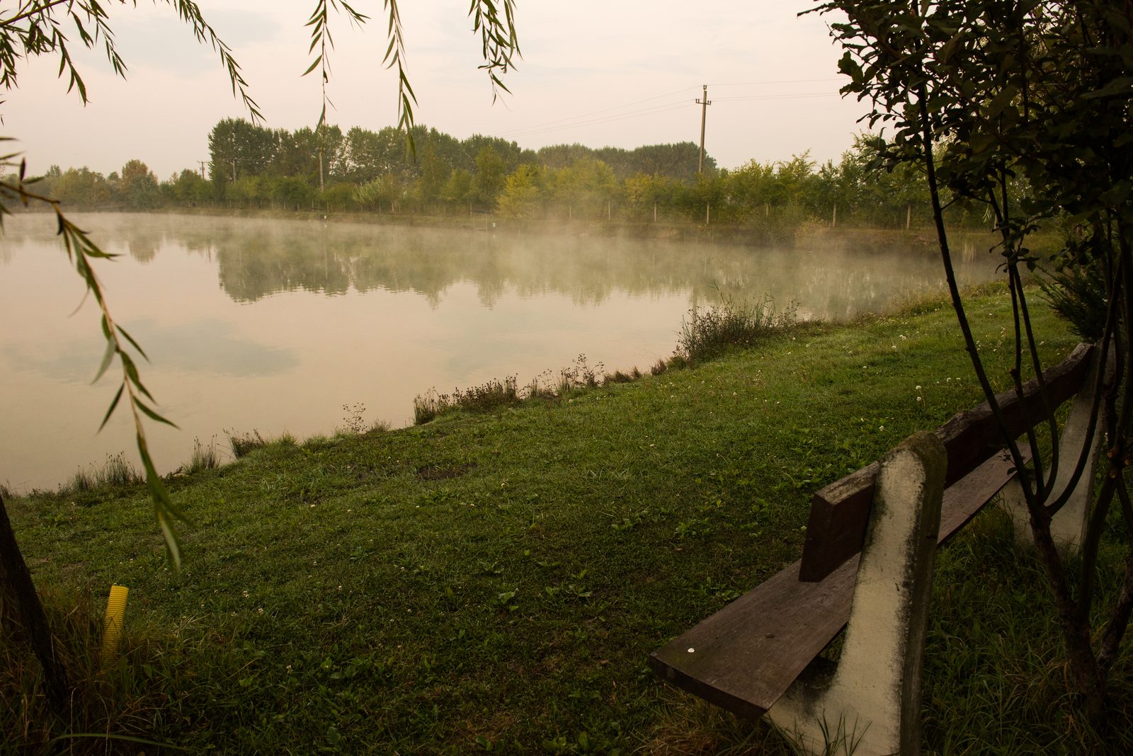Pad a ködös tóparton, hajnalban.